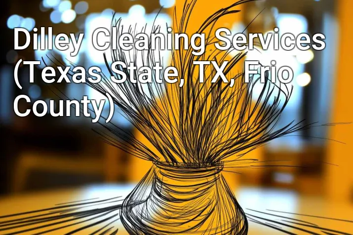 Dilley Cleaning Services (Texas State, TX, Frio County)