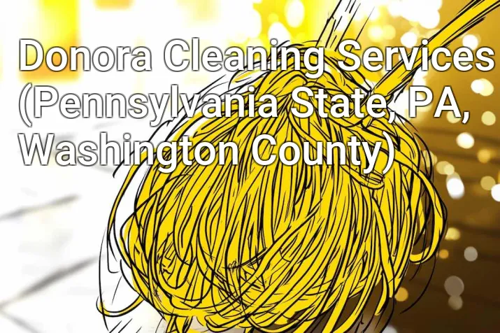Donora Cleaning Services (Pennsylvania State, PA, Washington County)