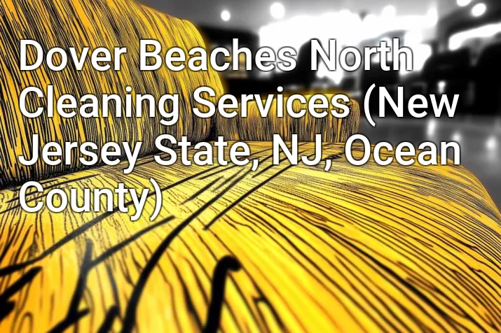 Dover Beaches North Cleaning Services (New Jersey State, NJ, Ocean County)