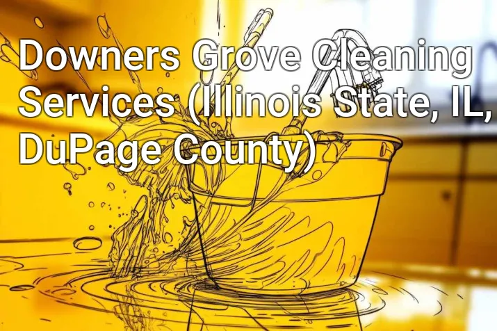 Downers Grove Cleaning Services (Illinois State, IL, DuPage County)
