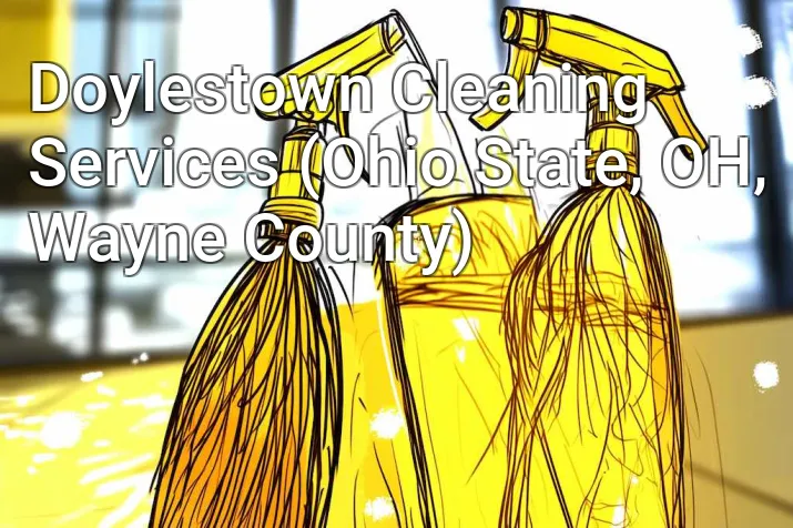 Doylestown Cleaning Services (Ohio State, OH, Wayne County)