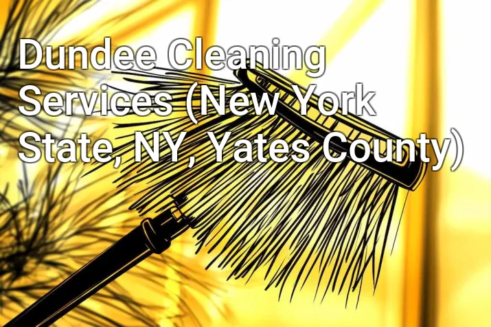 Dundee Cleaning Services (New York State, NY, Yates County)