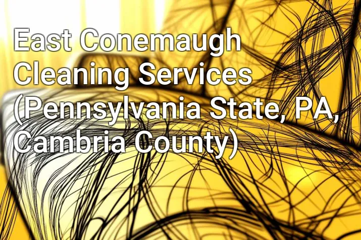 East Conemaugh Cleaning Services (Pennsylvania State, PA, Cambria County)