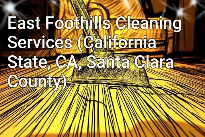 East Foothills Cleaning Services (California State, CA, Santa Clara County)