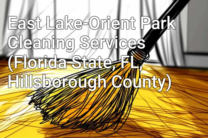 East Lake-Orient Park Cleaning Services (Florida State, FL, Hillsborough County)