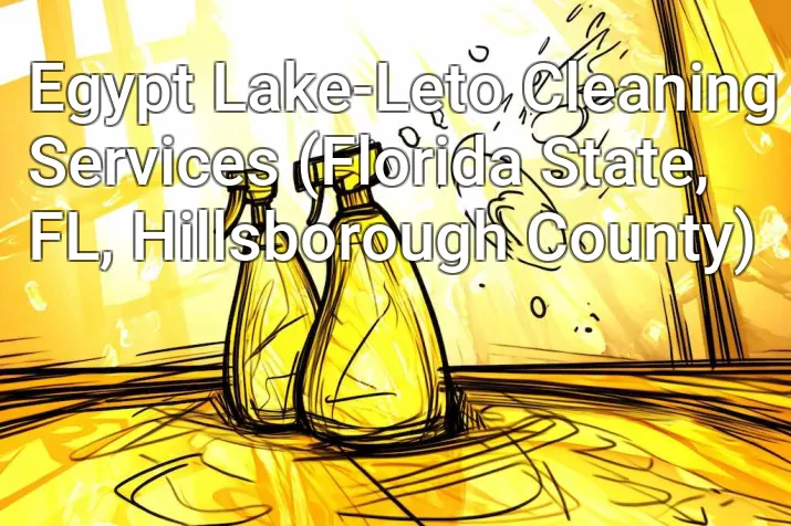 Egypt Lake-Leto Cleaning Services (Florida State, FL, Hillsborough County)