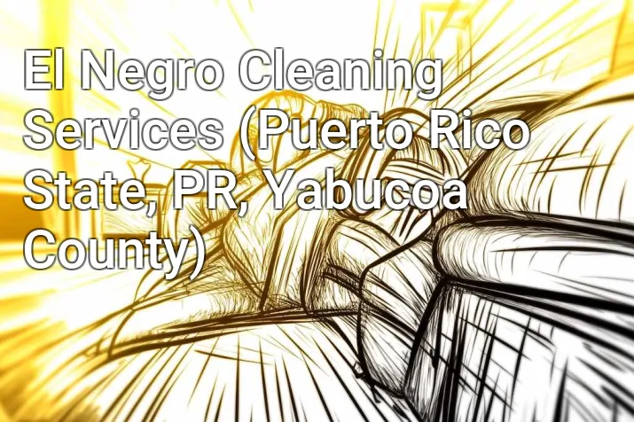 El Negro Cleaning Services (Puerto Rico State, PR, Yabucoa County)