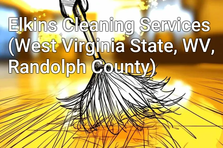 Elkins Cleaning Services (West Virginia State, WV, Randolph County)