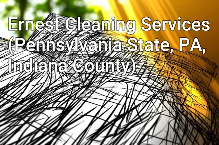 Ernest Cleaning Services (Pennsylvania State, PA, Indiana County)