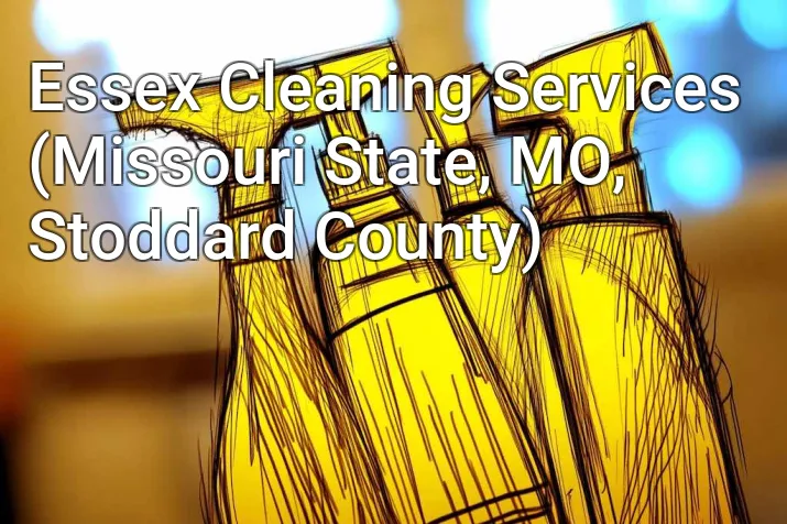 Essex Cleaning Services (Missouri State, MO, Stoddard County)