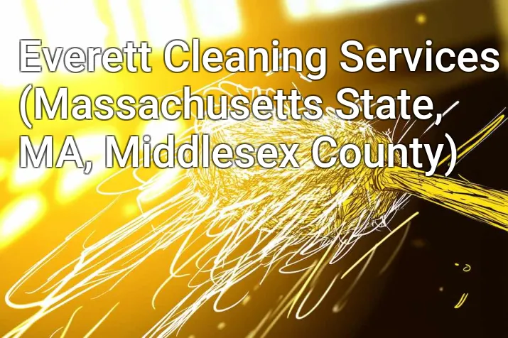 Everett Cleaning Services (Massachusetts State, MA, Middlesex County)