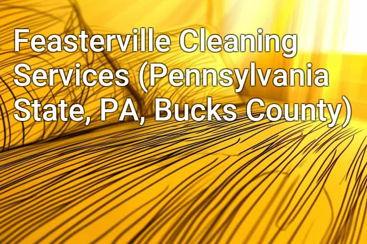 Feasterville Cleaning Services (Pennsylvania State, PA, Bucks County)