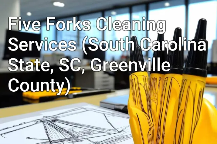 Five Forks Cleaning Services (South Carolina State, SC, Greenville County)
