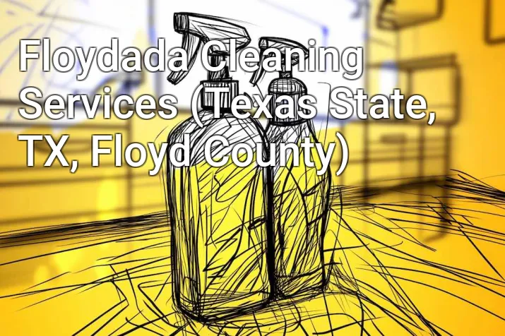 Floydada Cleaning Services (Texas State, TX, Floyd County)