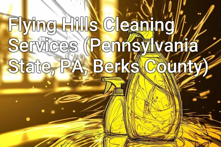 Flying Hills Cleaning Services (Pennsylvania State, PA, Berks County)