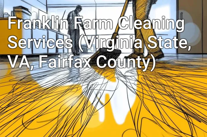 Franklin Farm Cleaning Services (Virginia State, VA, Fairfax County)