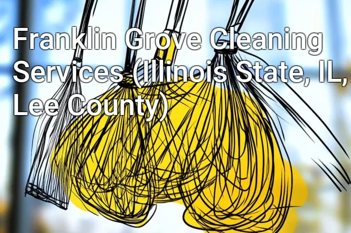 Franklin Grove Cleaning Services (Illinois State, IL, Lee County)
