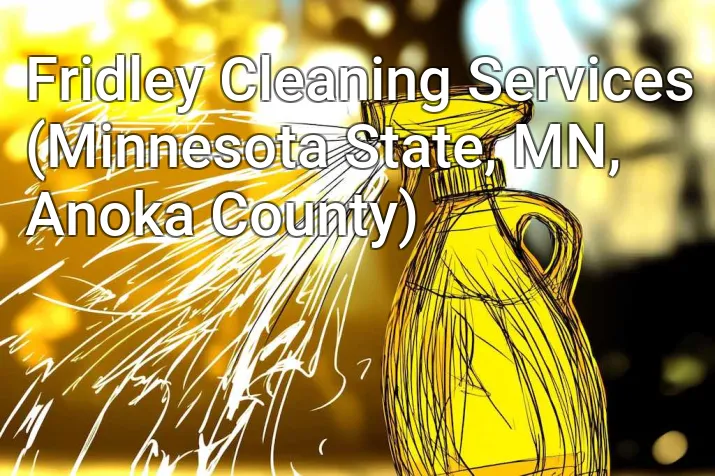 Fridley Cleaning Services (Minnesota State, MN, Anoka County)