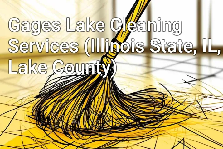 Gages Lake Cleaning Services (Illinois State, IL, Lake County)