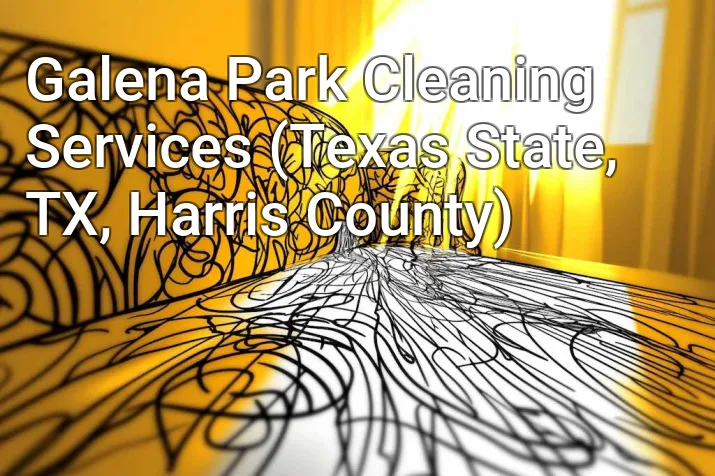 Galena Park Cleaning Services (Texas State, TX, Harris County)