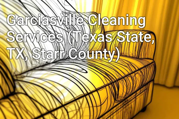 Garciasville Cleaning Services (Texas State, TX, Starr County)
