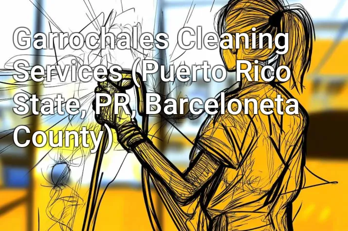 Garrochales Cleaning Services (Puerto Rico State, PR, Barceloneta County)