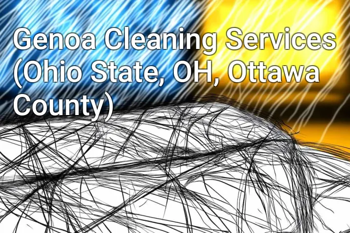 Genoa Cleaning Services (Ohio State, OH, Ottawa County)
