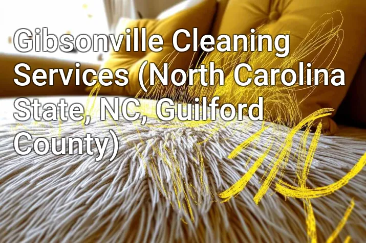 Gibsonville Cleaning Services (North Carolina State, NC, Guilford County)