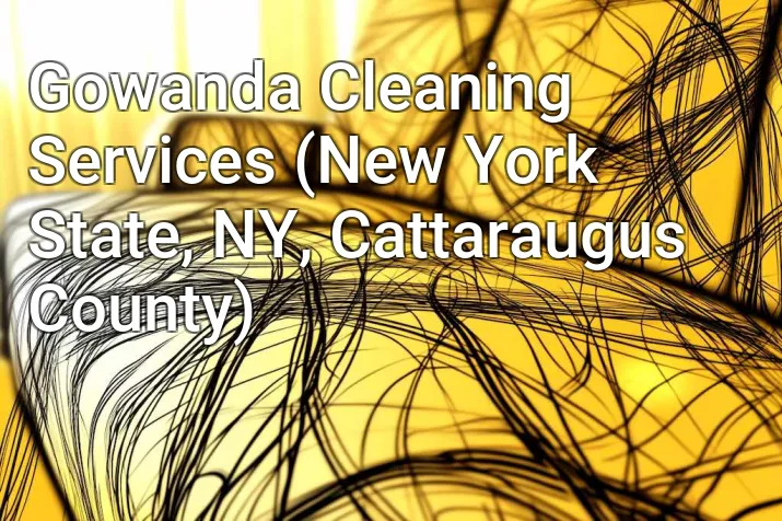 Gowanda Cleaning Services (New York State, NY, Cattaraugus County)