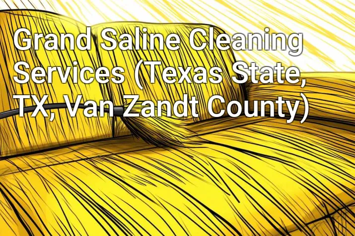 Grand Saline Cleaning Services (Texas State, TX, Van Zandt County)