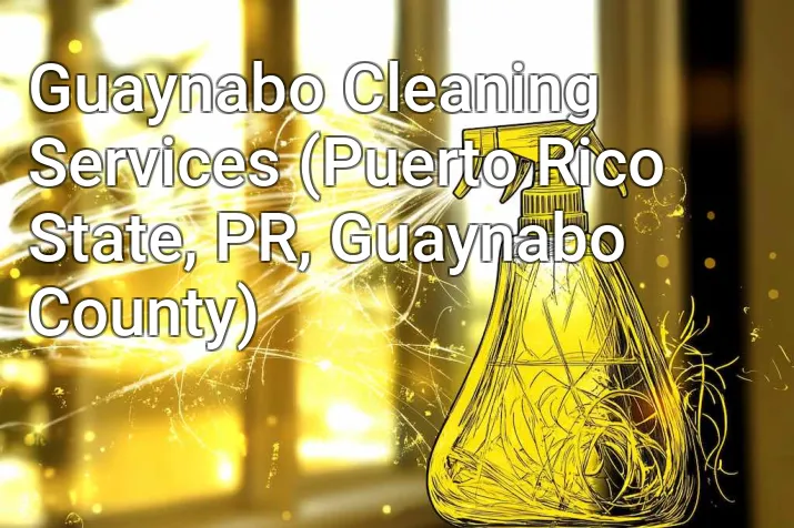 Guaynabo Cleaning Services (Puerto Rico State, PR, Guaynabo County)