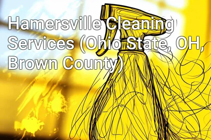 Hamersville Cleaning Services (Ohio State, OH, Brown County)