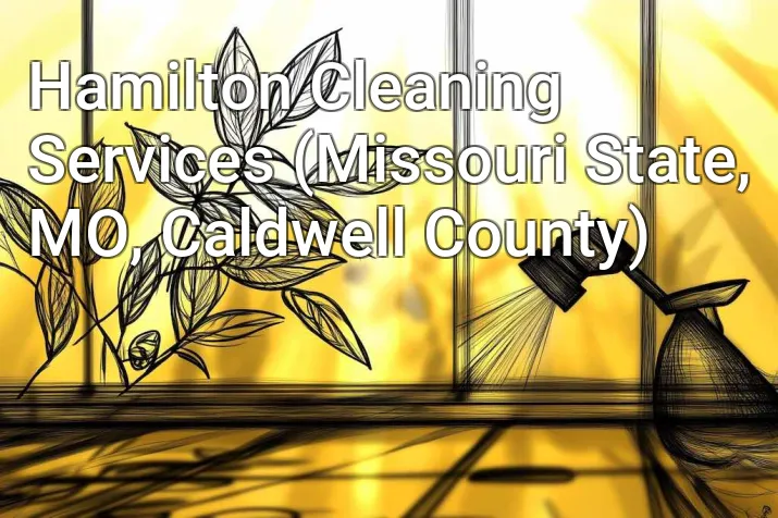 Hamilton Cleaning Services (Missouri State, MO, Caldwell County)