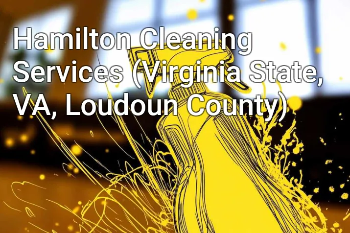 Hamilton Cleaning Services (Virginia State, VA, Loudoun County)