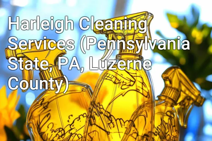 Harleigh Cleaning Services (Pennsylvania State, PA, Luzerne County)