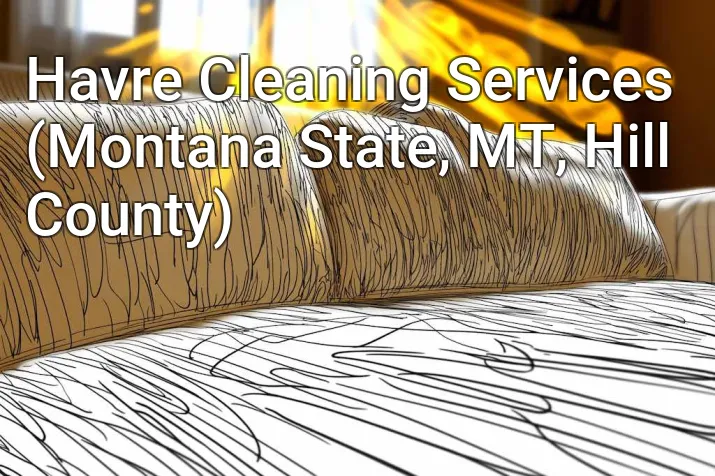Havre Cleaning Services (Montana State, MT, Hill County)