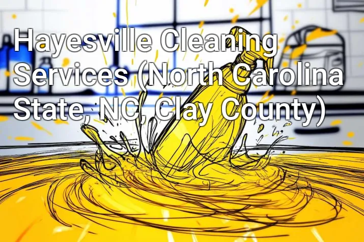 Hayesville Cleaning Services (North Carolina State, NC, Clay County)