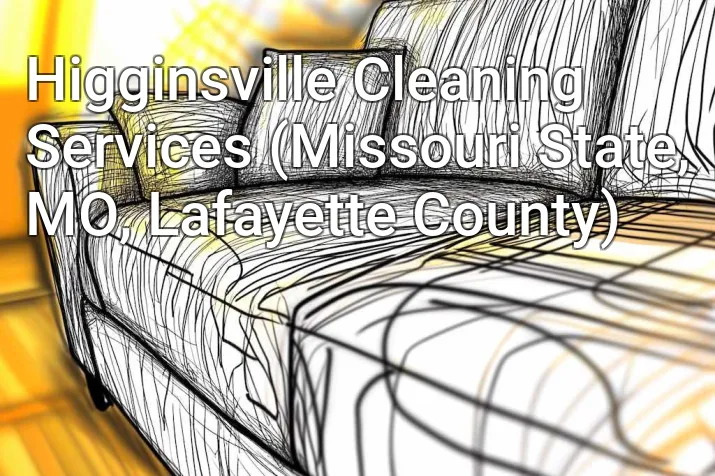 Higginsville Cleaning Services (Missouri State, MO, Lafayette County)