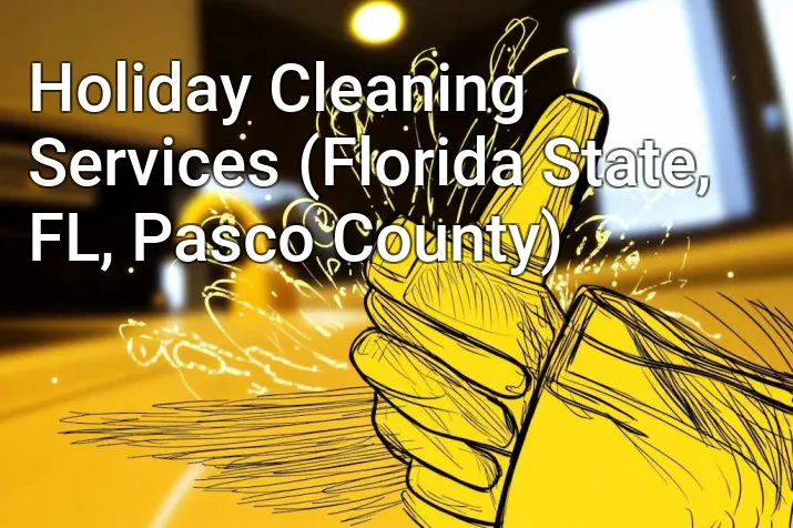 Holiday Cleaning Services (Florida State, FL, Pasco County)