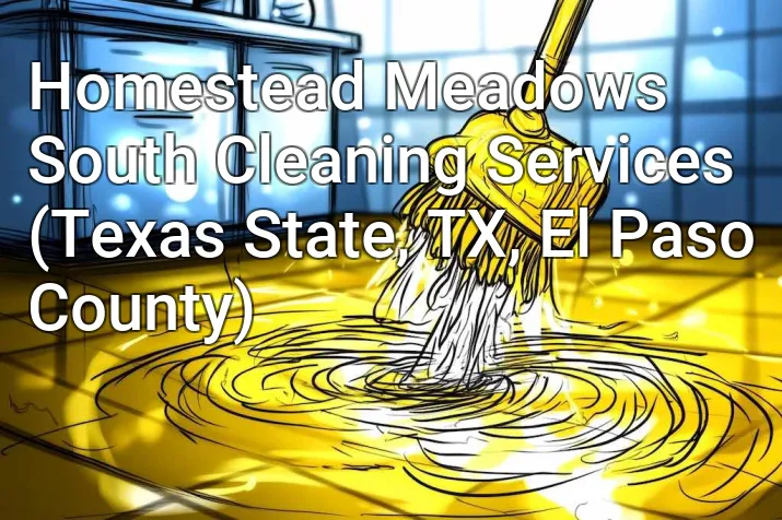 Homestead Meadows South Cleaning Services (Texas State, TX, El Paso County)