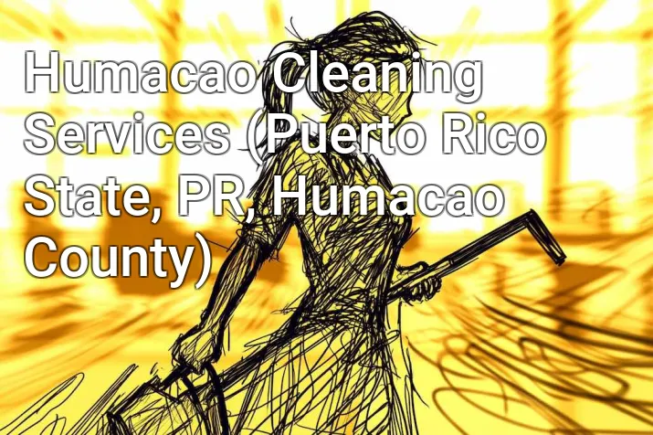 Humacao Cleaning Services (Puerto Rico State, PR, Humacao County)