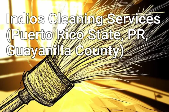 Indios Cleaning Services (Puerto Rico State, PR, Guayanilla County)