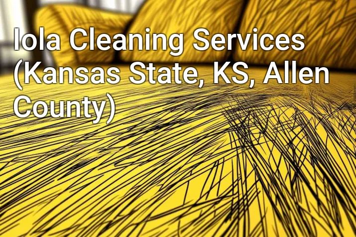 Iola Cleaning Services (Kansas State, KS, Allen County)