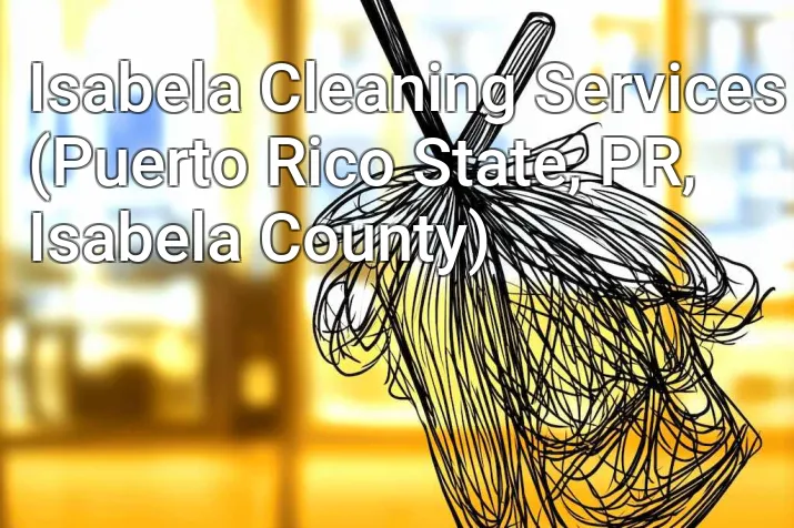 Isabela Cleaning Services (Puerto Rico State, PR, Isabela County)