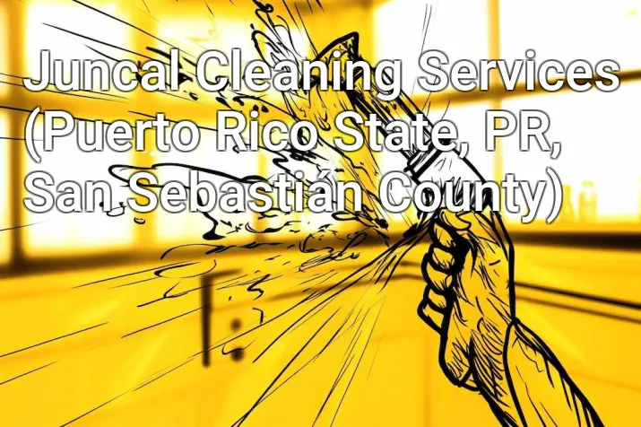 Juncal Cleaning Services (Puerto Rico State, PR, San Sebastián County)