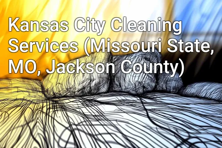 Kansas City Cleaning Services (Missouri State, MO, Jackson County)