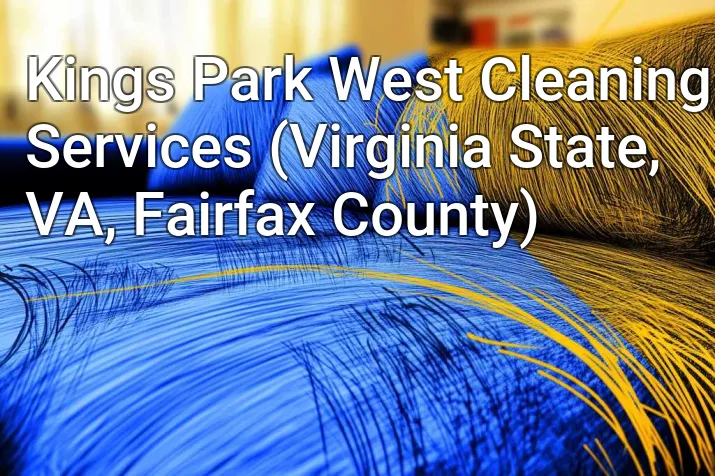 Kings Park West Cleaning Services (Virginia State, VA, Fairfax County)