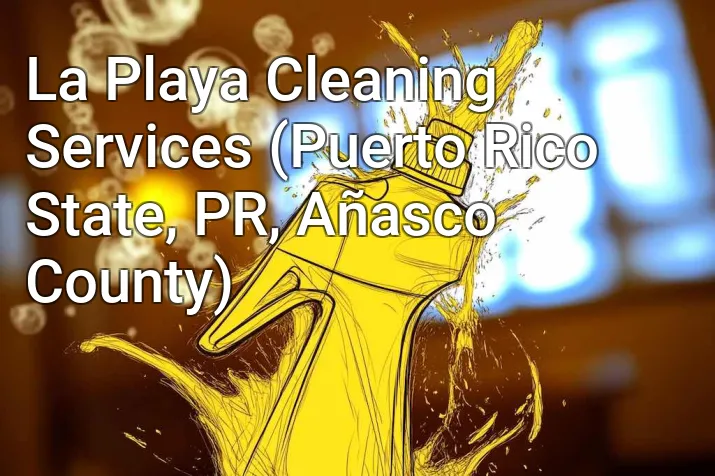 La Playa Cleaning Services (Puerto Rico State, PR, Añasco County)
