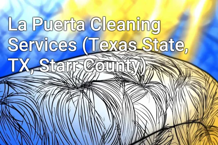La Puerta Cleaning Services (Texas State, TX, Starr County)