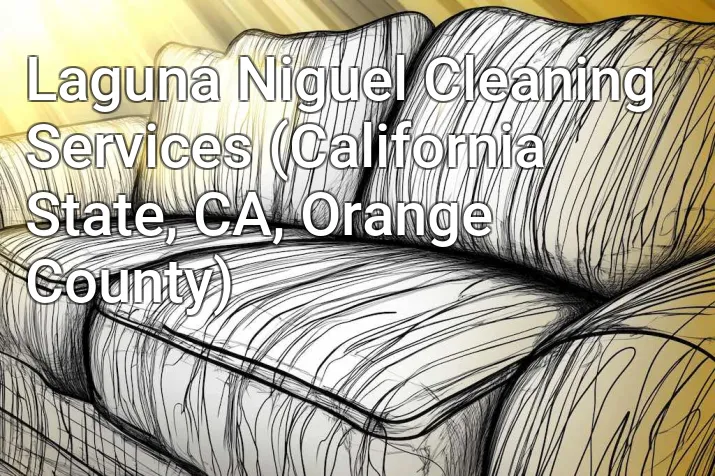 Laguna Niguel Cleaning Services (California State, CA, Orange County)